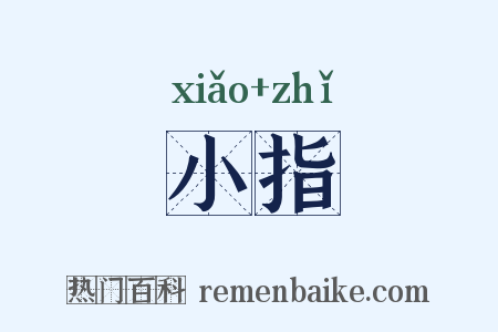 小指是什么意思的图片
